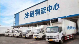 冷庫(kù)貨架案例（冷鏈物流）